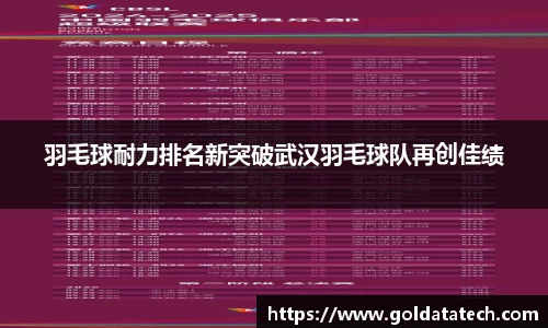 羽毛球耐力排名新突破武汉羽毛球队再创佳绩